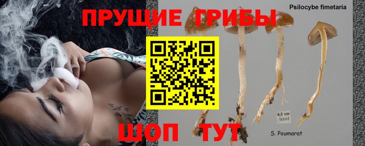 Псилоцибиновые грибы ЛСД Гай