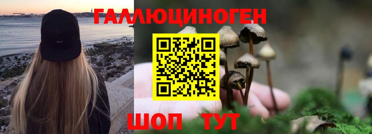 Псилоцибиновые грибы ЛСД  Вход с VPN  Гай 