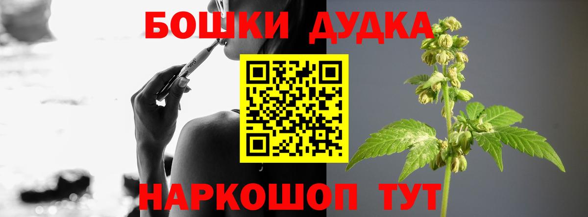 Каннабис сатива Гай